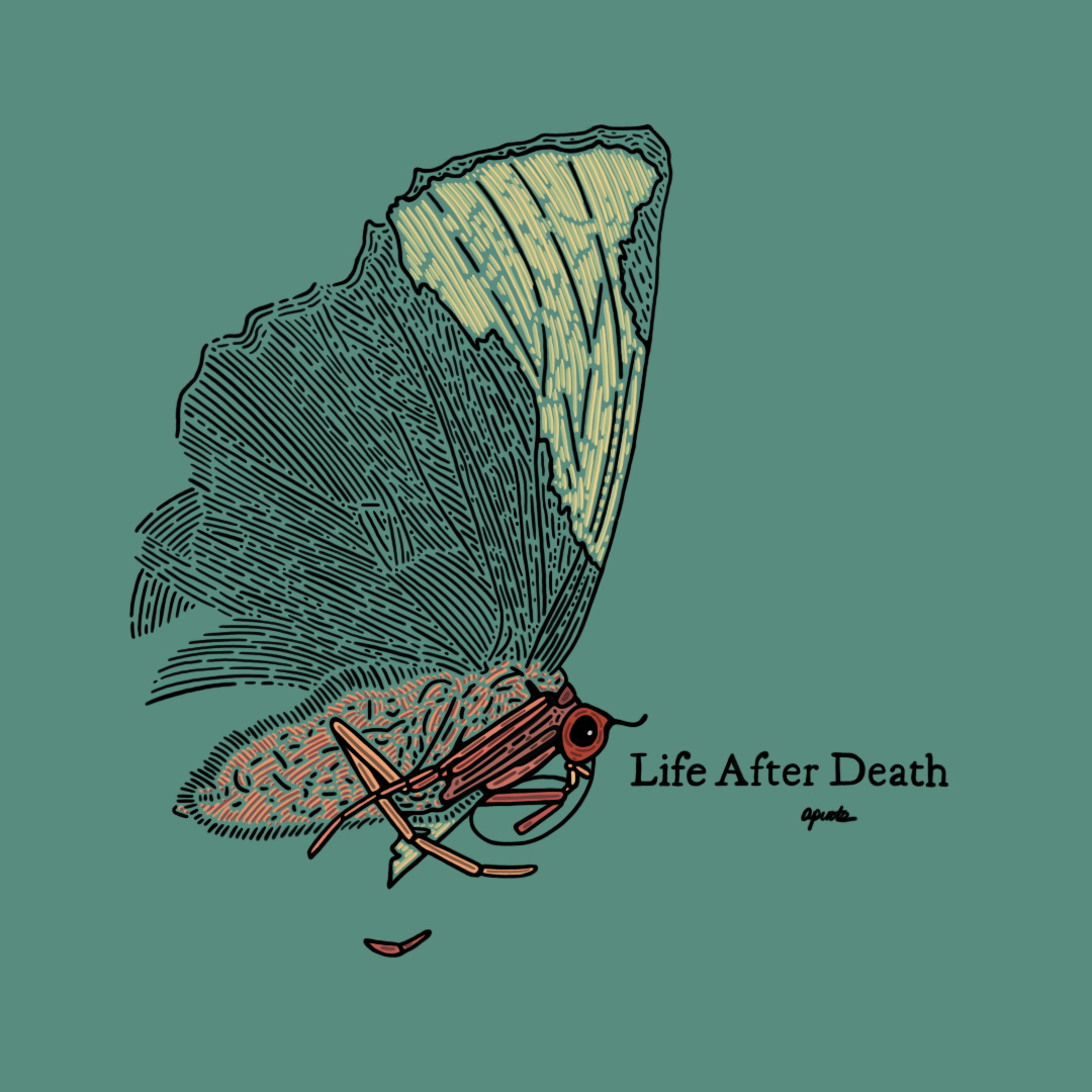 Life After Death