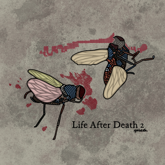 Life After Death 2